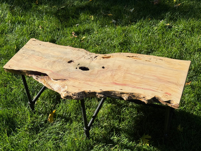 Box Elder Burl Bench