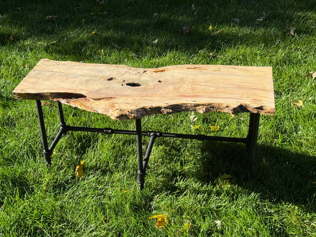 Box Elder Burl Bench