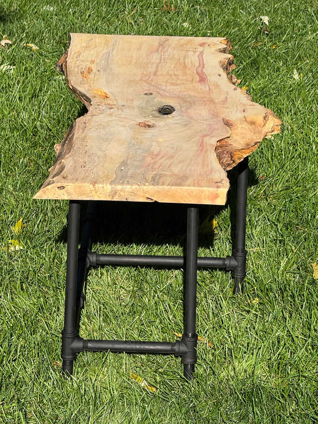 Box Elder Burl Bench