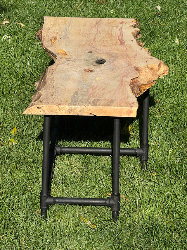 Box Elder Burl Bench