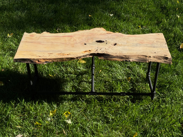 Box Elder Burl Bench
