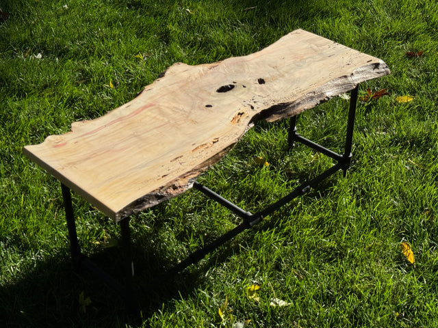 Box Elder Burl Bench