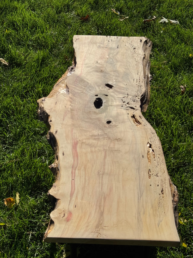 Box Elder Burl Bench