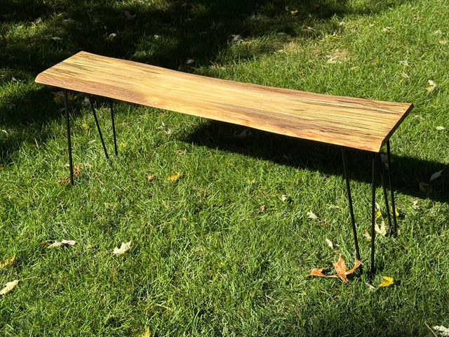 White Birch Bench