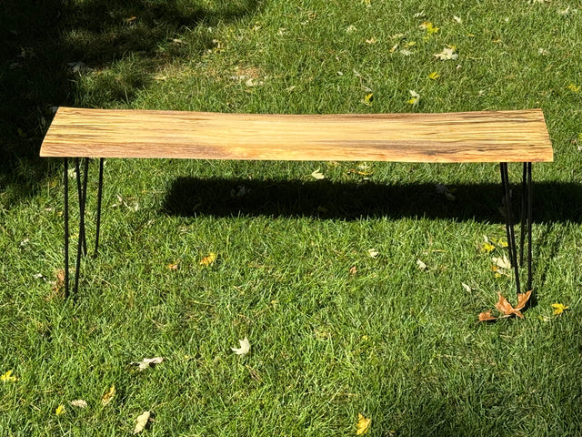 White Birch Bench
