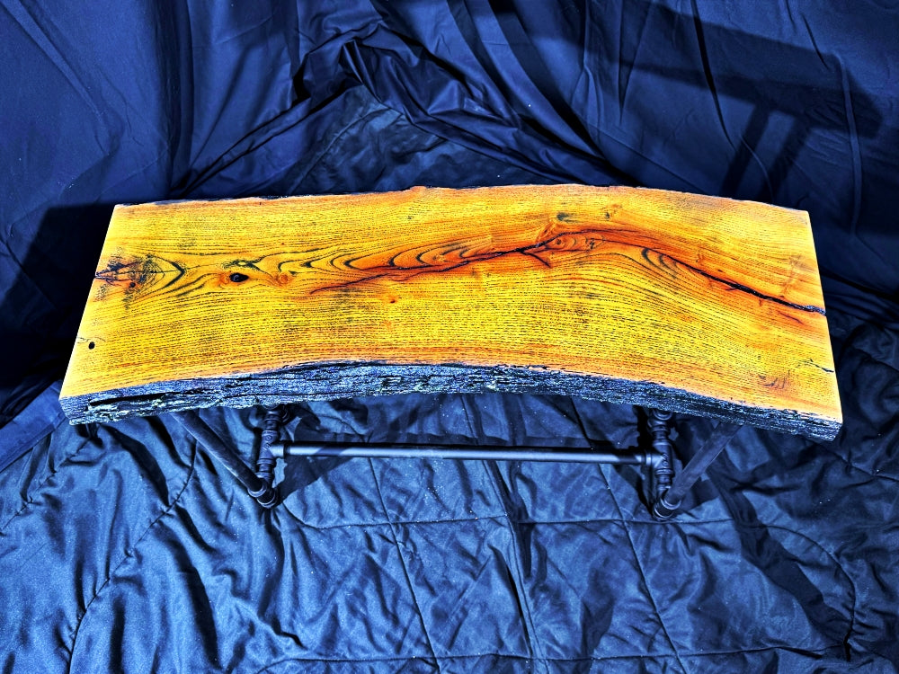 Osage Orange Bench