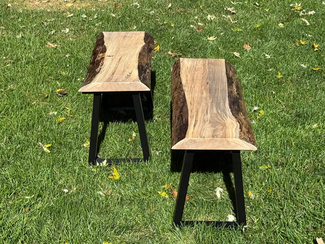 Ash Bench Pair