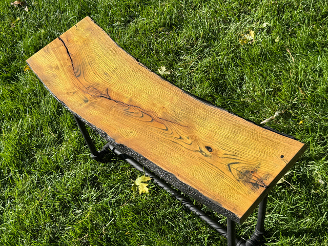 Osage Orange Bench