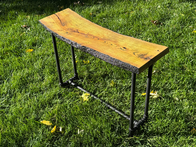 Osage Orange Bench