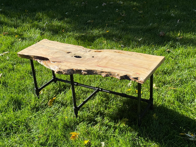 Box Elder Burl Bench
