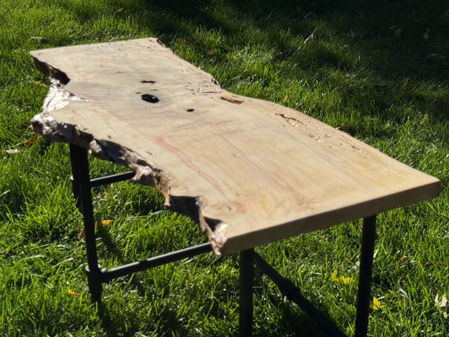 Box Elder Burl Bench
