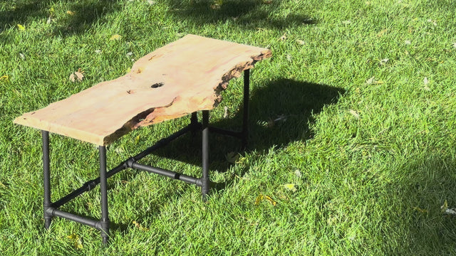 Box Elder Burl Bench